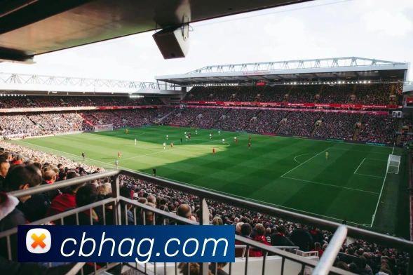 互动解说服务